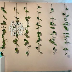 Decor Vines for Selfie Wall accent wall, New